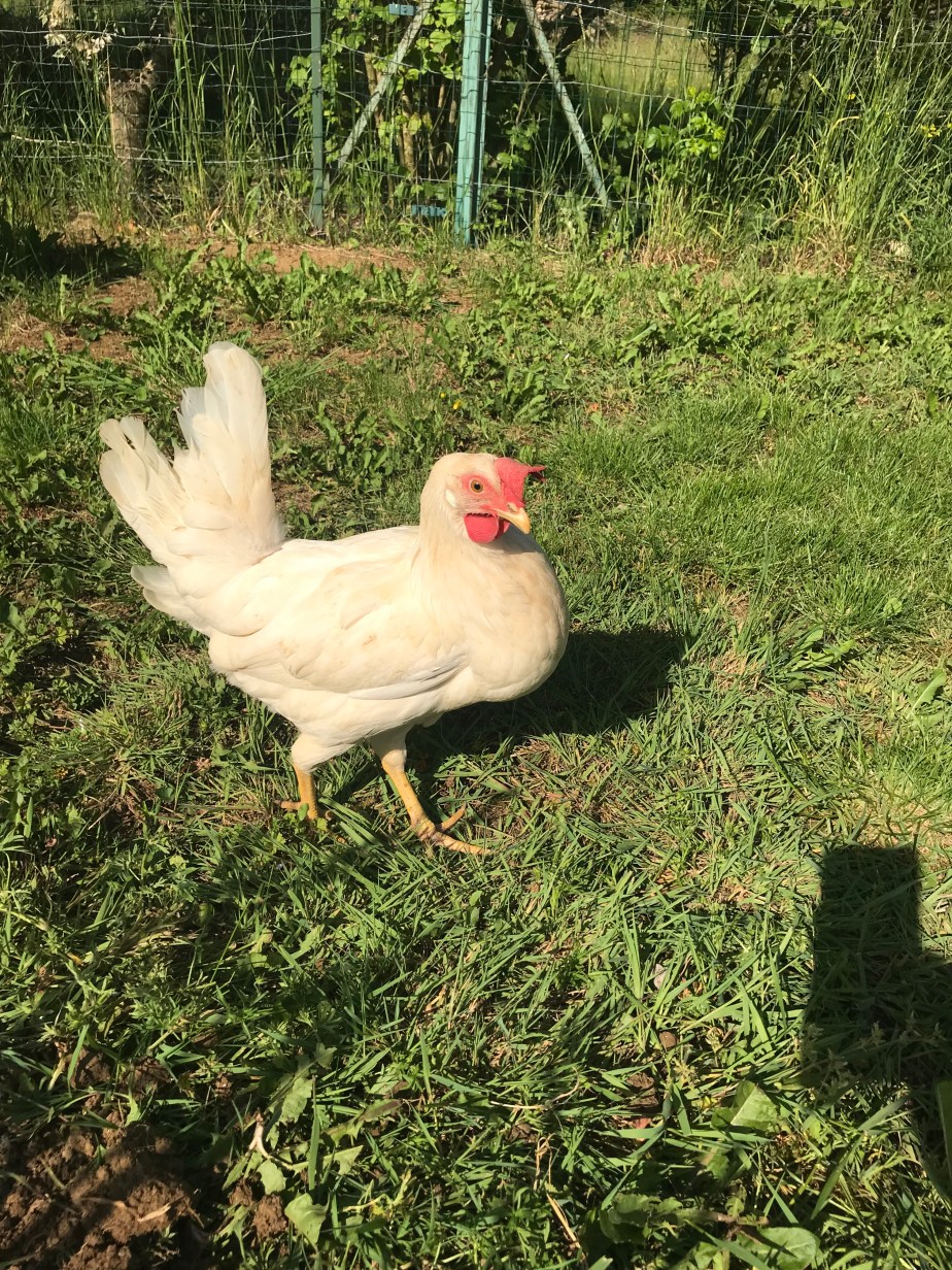 Il faut que je vous&nbsp;raconte…